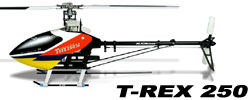 Kategorie T-REX 250