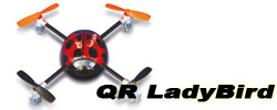 Kategorie QR LadyBird
